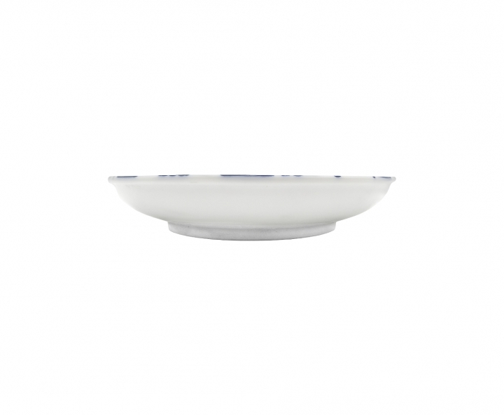 PLATO FUJI AZUL