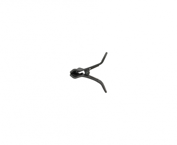 CLIP