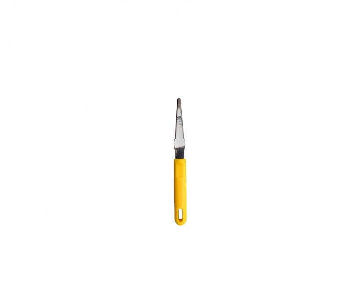 CUCHILLO PARA FRUTAS