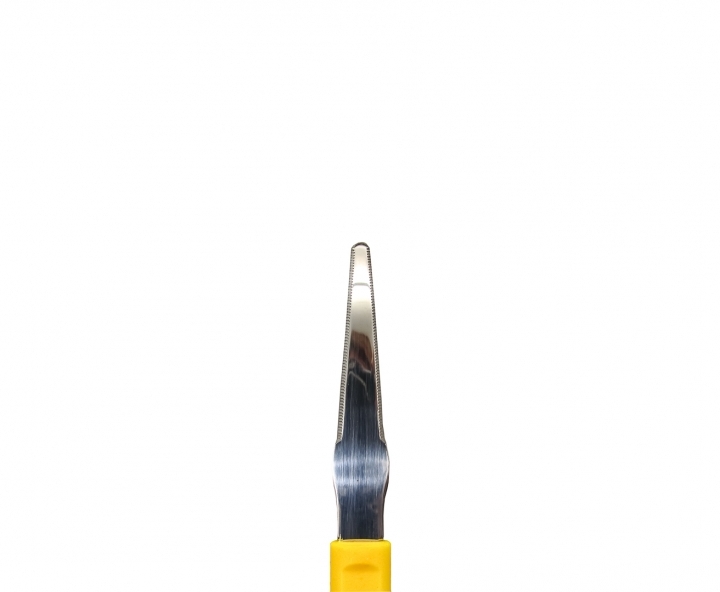CUCHILLO PARA FRUTAS