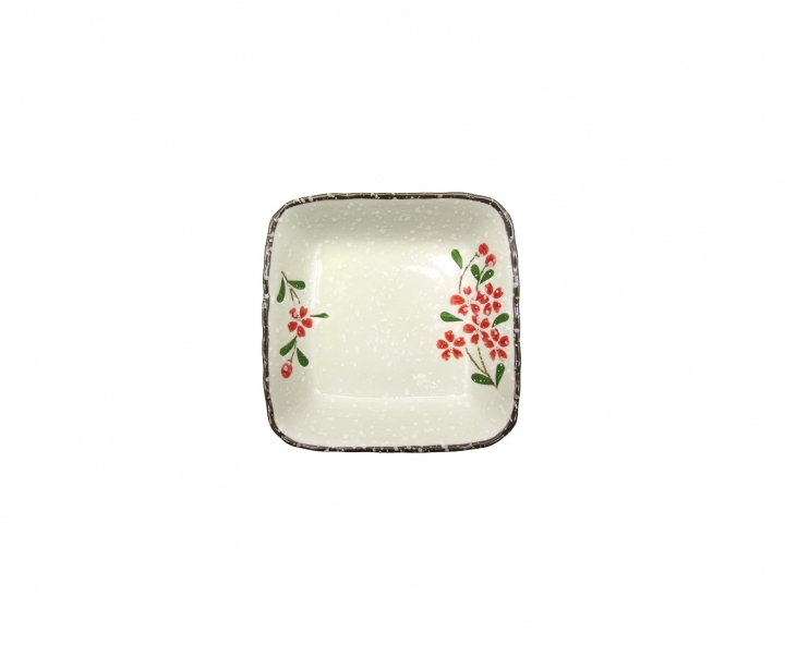AWAYUKI PLATO CUADRANGULAR M