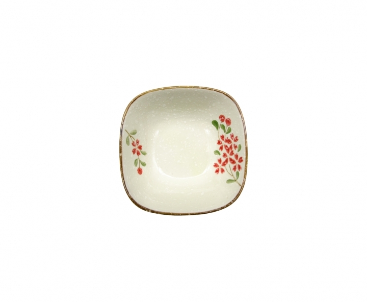 AWAYUKI PLATO CUADRANGULAR S