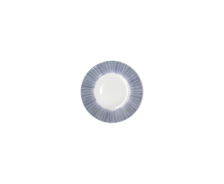 PLATO TOJUKUSA 4.0