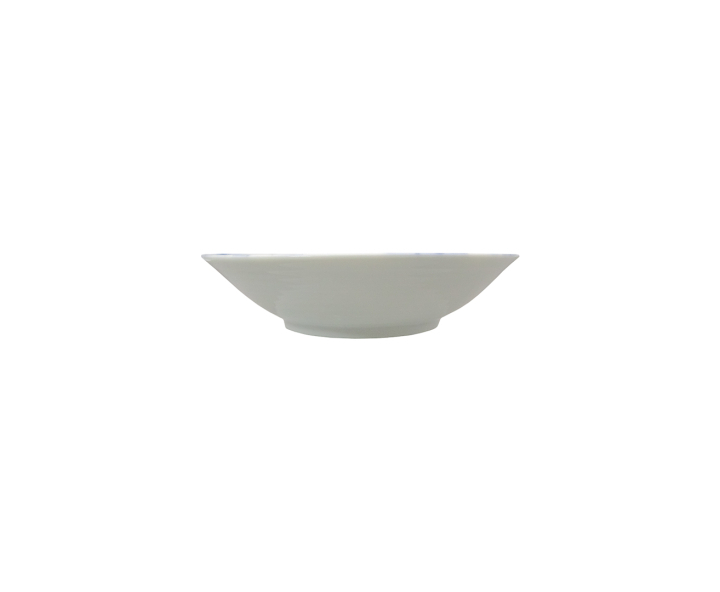 PLATO DE CERAMICA