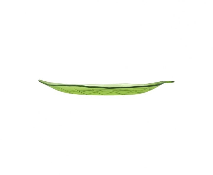 PLATO HOJA