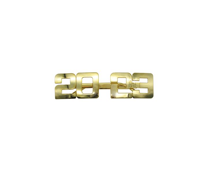 LENTE PLASTICO “2023” DORADO