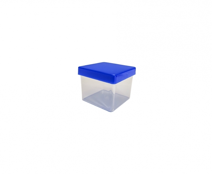 CAJITA PLASTICO CUBO 10P (5X4.5CM) TRANSP./AZUL