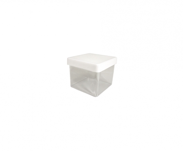 CAJITA PLASTICO CUBO 10P (5X4.5CM) TRANSP./BLANCO