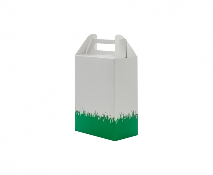 CAJA PAPEL RECTANGULO FUTBOL 10P (17X9X5) BLANCO/VERDE