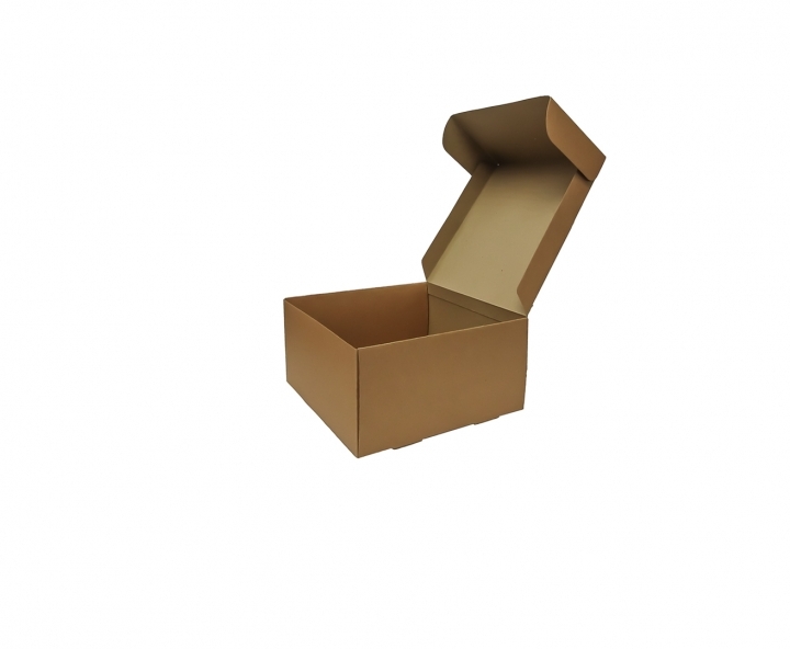 CAJA PAPEL CUADRADO 5P (25X25X13) NATURAL