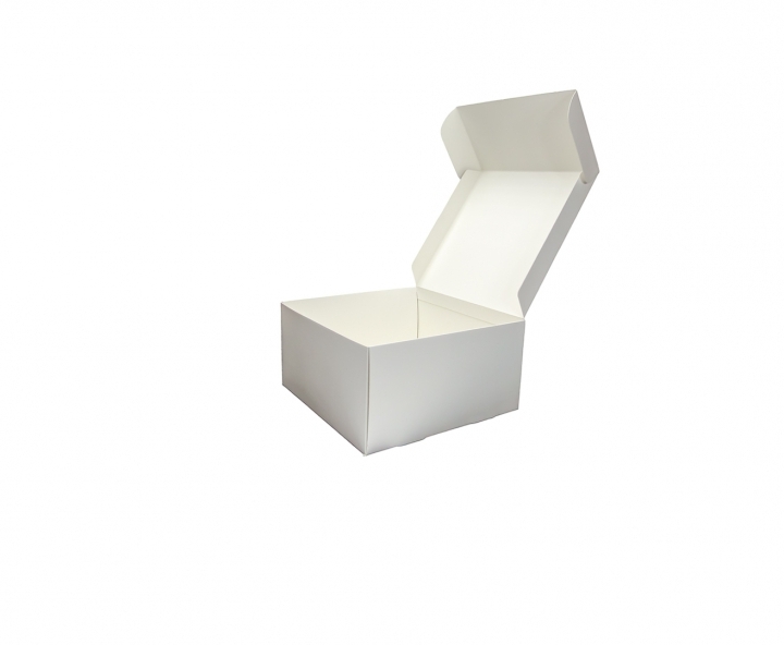 CAJA PAPEL CUADRADO 5P (25X25X13) BLANCO