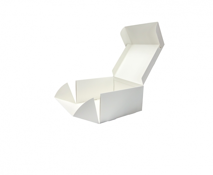 CAJA PAPEL CUADRADO 5P (25X25X13) BLANCO