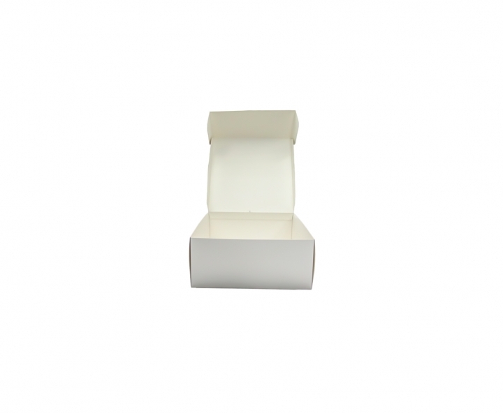 CAJA PAPEL CUADRADO 5P (30X30X13) BLANCO