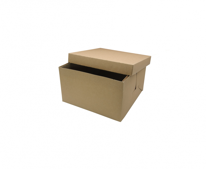 CAJA PAPEL CUADRADO 5P (25X25X15) NATURAL