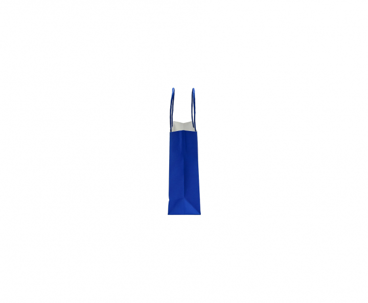 BOLSA DE PAPEL (21X15X8) AZUL