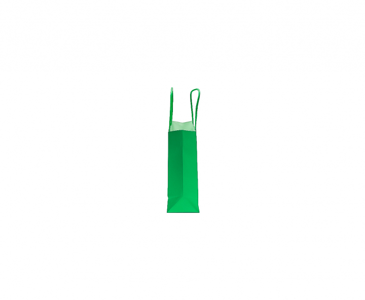 BOLSA DE PAPEL (21X15X8) VERDE