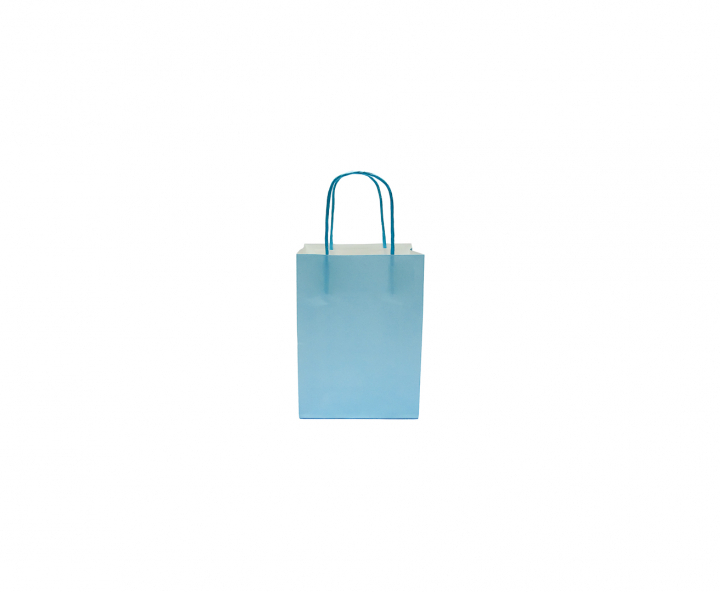 BOLSA DE PAPEL (21X15X8) CELESTE