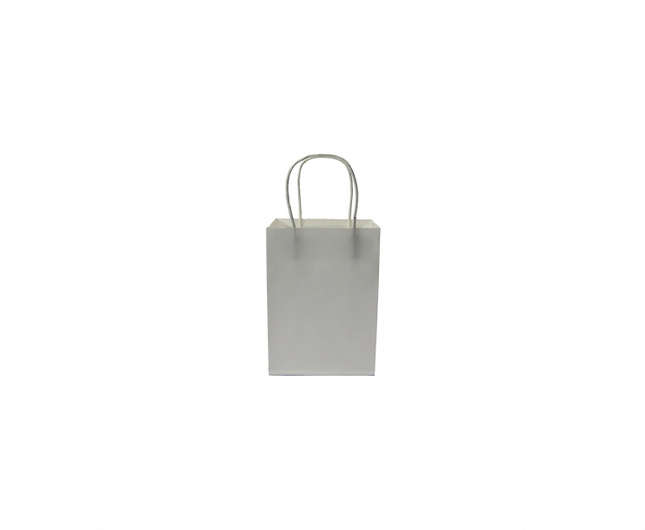 BOLSA DE PAPEL (21X15X8) BLANCO