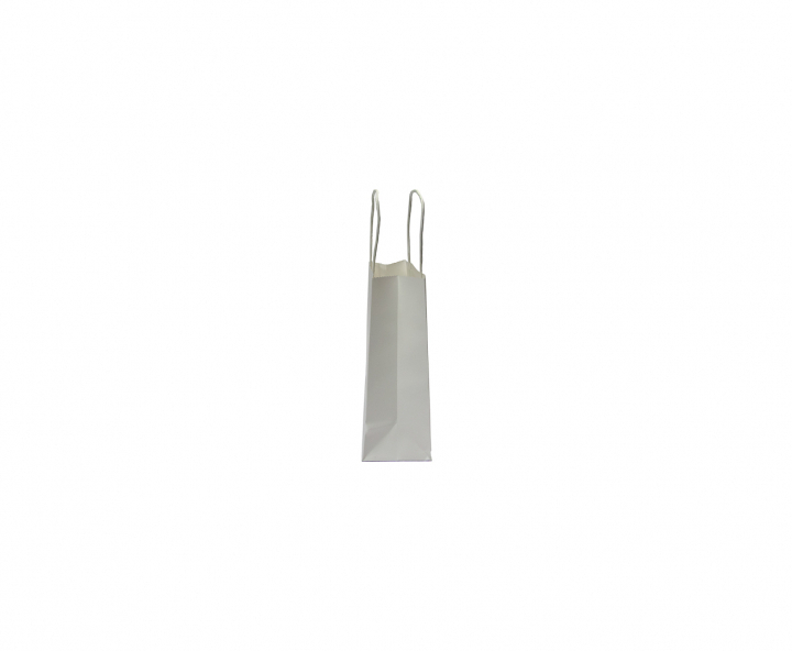 BOLSA DE PAPEL (21X15X8) BLANCO