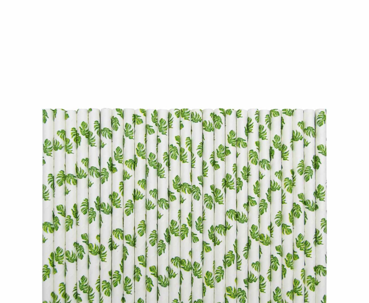 PAJITA PAPEL 25P (19.5CM) HOJA BLANCO/VERDE
