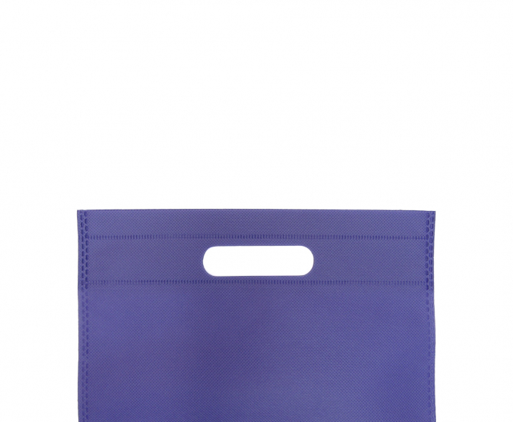 BOLSA TNT 10P (25X20CM) PURPURA