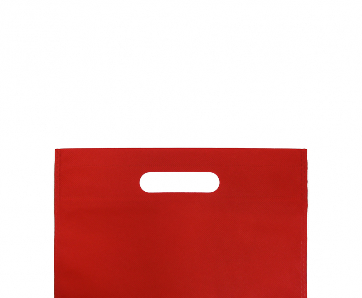 BOLSA TNT 10P (25X20CM) ROJO