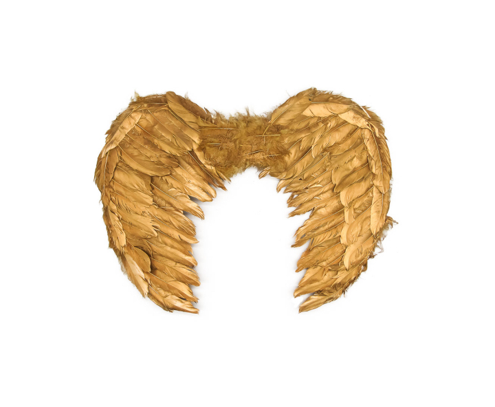 ALAS DE ANGEL (45X35CM) DORADO