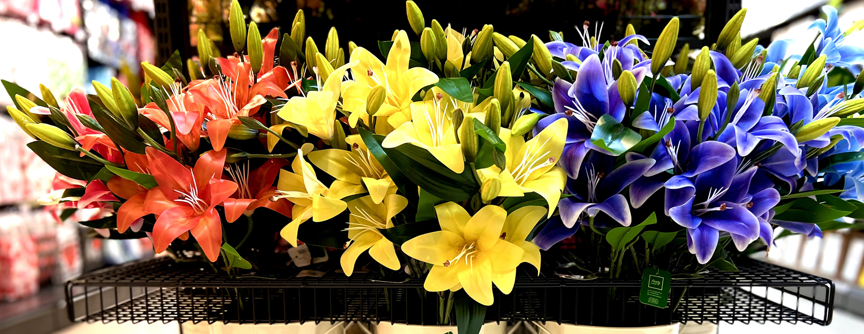 ¡SIEMPRE HAY UNA RAZÓN PARA CELEBRAR!